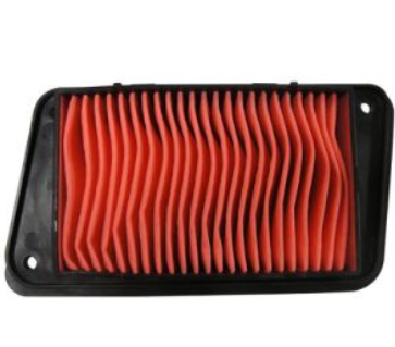 FILTRO DE AIRE GTS-175/ WS-175 2010-2014