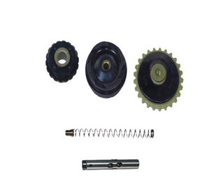 TENSOR CADENA TIEMPO SET ITALIKA AT 110 (05-16) (WSTD)