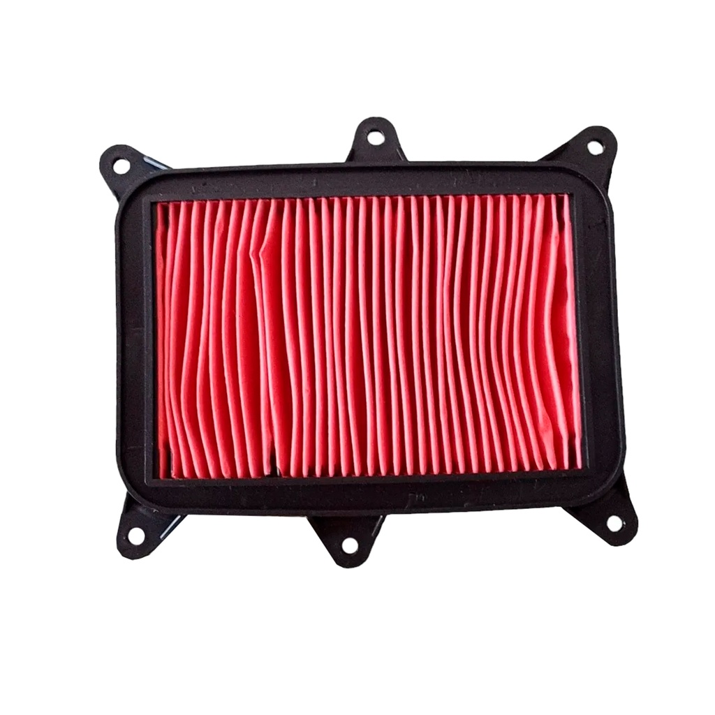 ELEMENTO FILTRANTE Alpina 300 2023,Alpina 300 2024, Alpina 300 EFI 2024