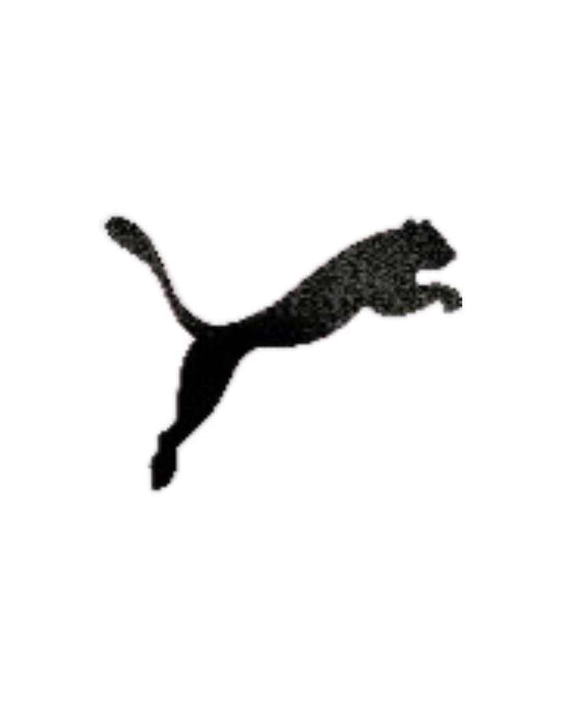 CALCOMANIA PUMA LOGO E IMAGEN