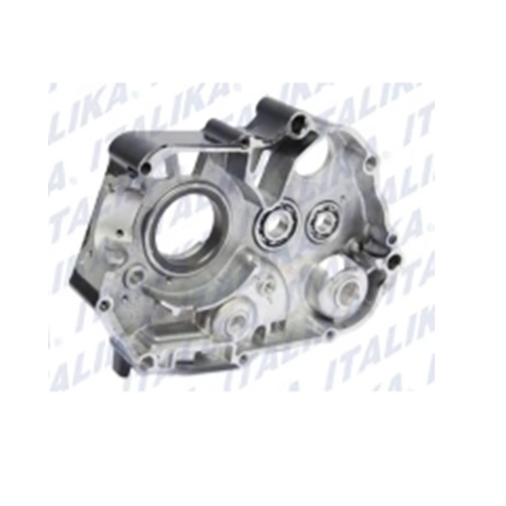 COMPONENTE DE CARTER DERECHO FT110