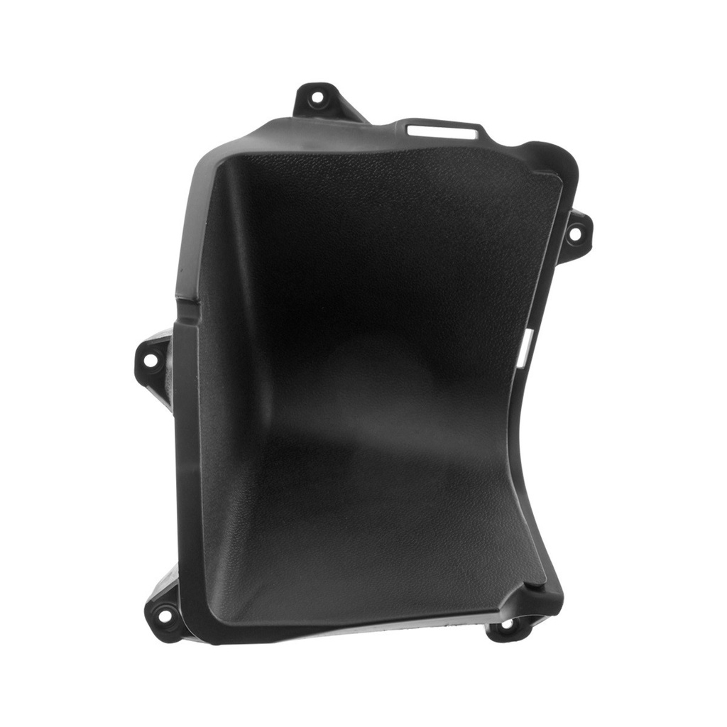 CUBIERTA EQUIPAJE IZQ DS150G