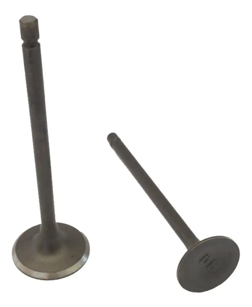 JGO. DE VALVULAS (2pzs)  (ADMISION Y ESCAPE)(2 PZAS) P/CS125/DS125/2008