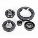 KIT RETENES DE MOTOR FT125/150/200 MEK