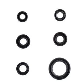 RETENES DE MOTOR - NS-200