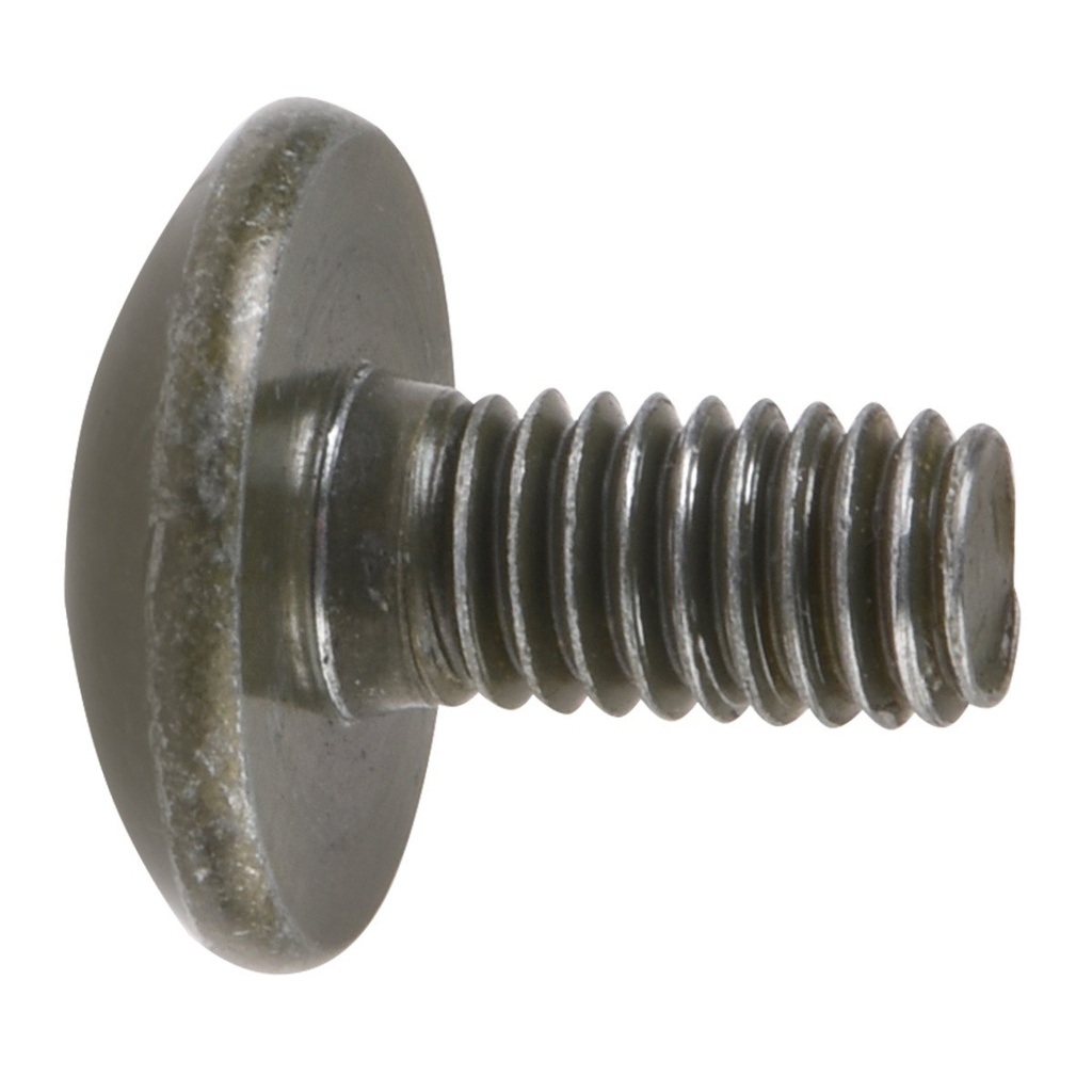 TORNILLO M6X12 FT200, PASSENGER