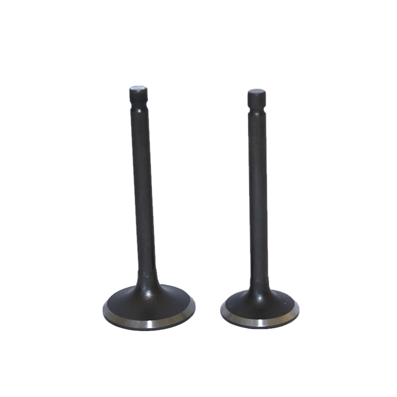 VALVULAS (JGO) P/ITALIKA AT-110 "KAIZEN