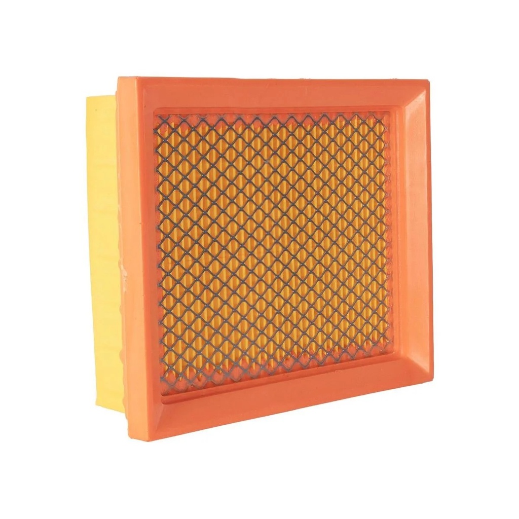 Filtro de aire elemento DM200