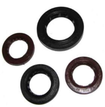 RETEN DE MOTOR CS-125 / DS-125