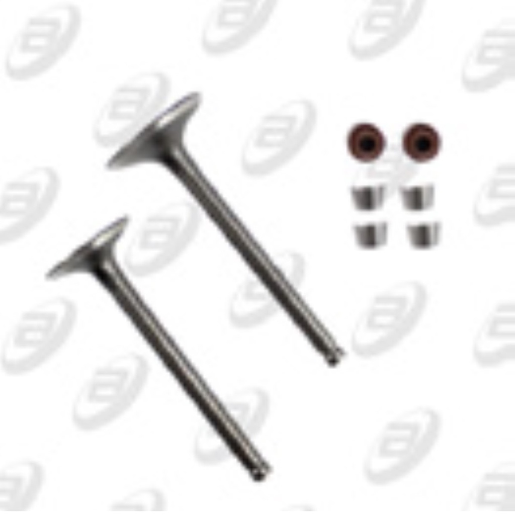 VALVULAS CALIDAD GOLD (IRON BOX) (ADMISION Y ESCAPE) AT-125 17-18