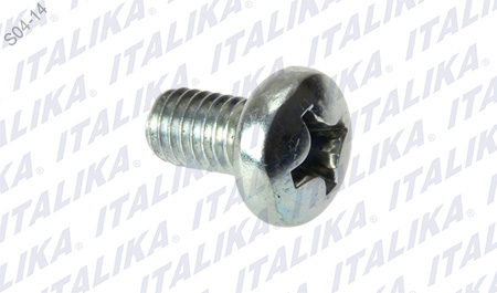 [E11050025] TORNILLO M6X10 ZDM200