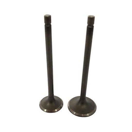 [2135-1024] JUEGO VALVULAS ADMISION Y ESCAPE ITALIKA 170Z PROMOTO 