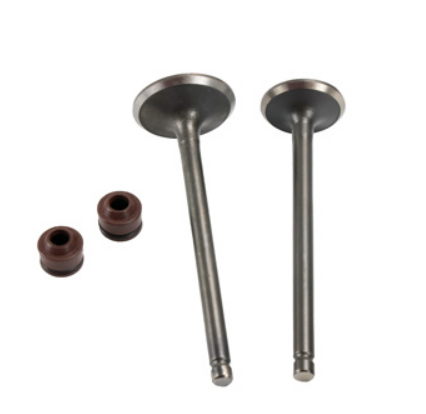 [21-2163-001] VALVULA ADMISION/ESCAPE SET HONDA DIO 110 (13-19), NAVI 110 (19-23)