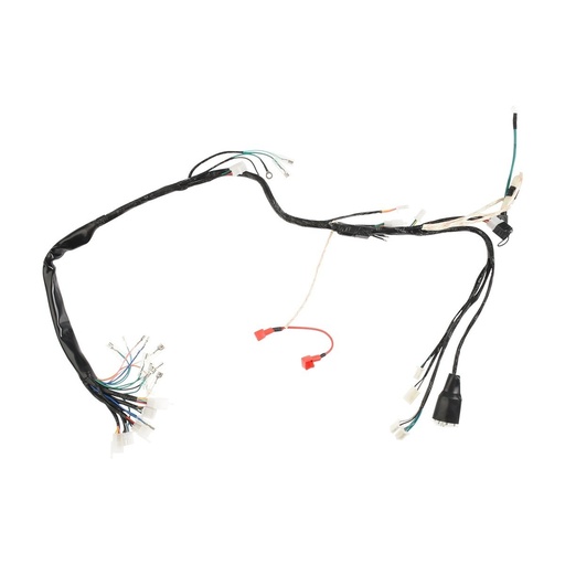 [F06050259] ARNES PRINCIPAL TC250