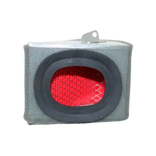 [VC01010008] ELEMENTO FILTRANTE Hotrod 150 2020,Hotrod 150 2022,Street Rod 150 2020,Street Rod 150 2022,Street Rod 170 2024