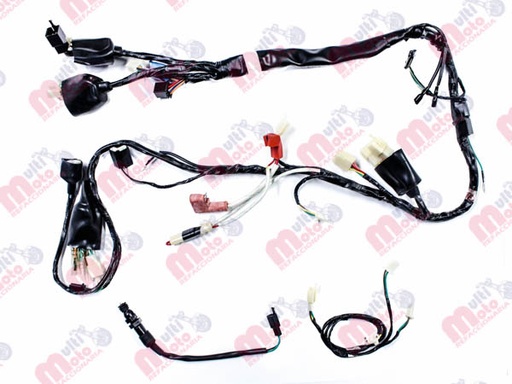 [F06050102] ARNÉS PRINCIPAL 150SZ 2018