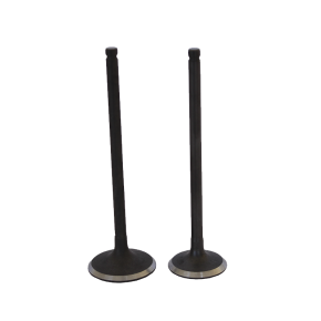 [MOTVA33] VALVULAS (JGO) P/ITALIKA FT-125 "KAIZEN"