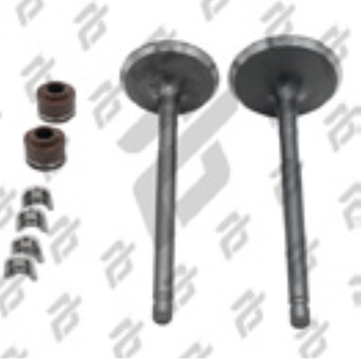 [VAL-032] VALVULAS CALIDAD GOLD (IRON BOX) (ADMISION Y ESCAPE) IT ATV-200 20-23