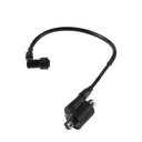 BOBINA IGNICION 125FL GPS 2026