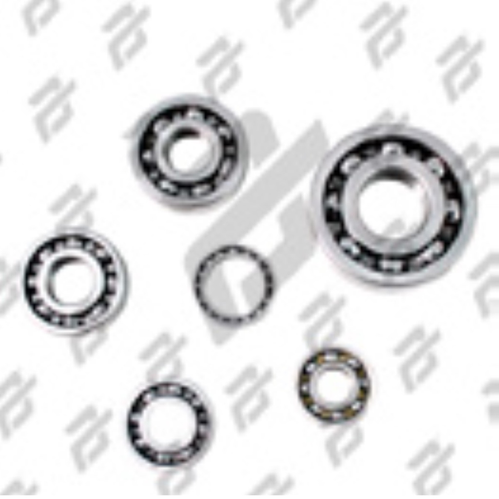 BALEROS DE MOTOR V-200 18-20