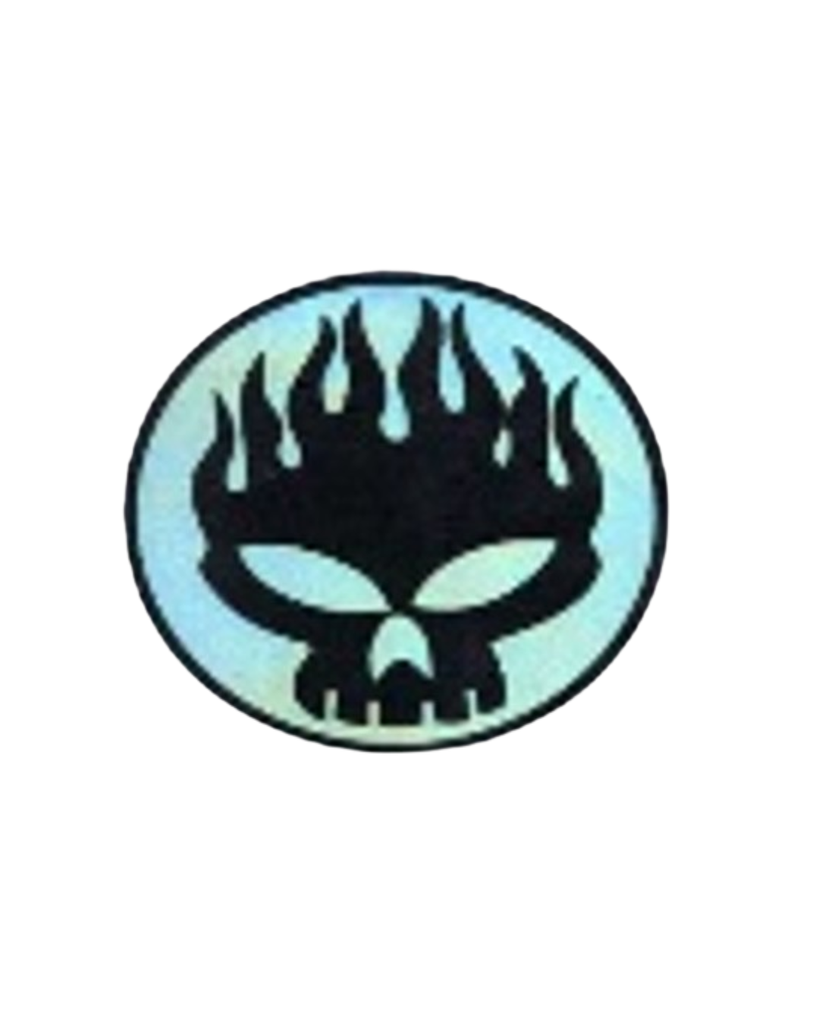 CALCOMANIA GRANDE CALAVERA CIRCULO LLAMAS NEGRAS