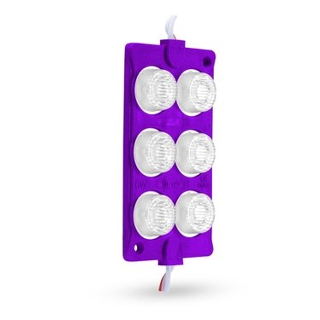 TIRA DE MODULO LED LATERAL DOBLE FILA 6 LUCES  (MORADO)