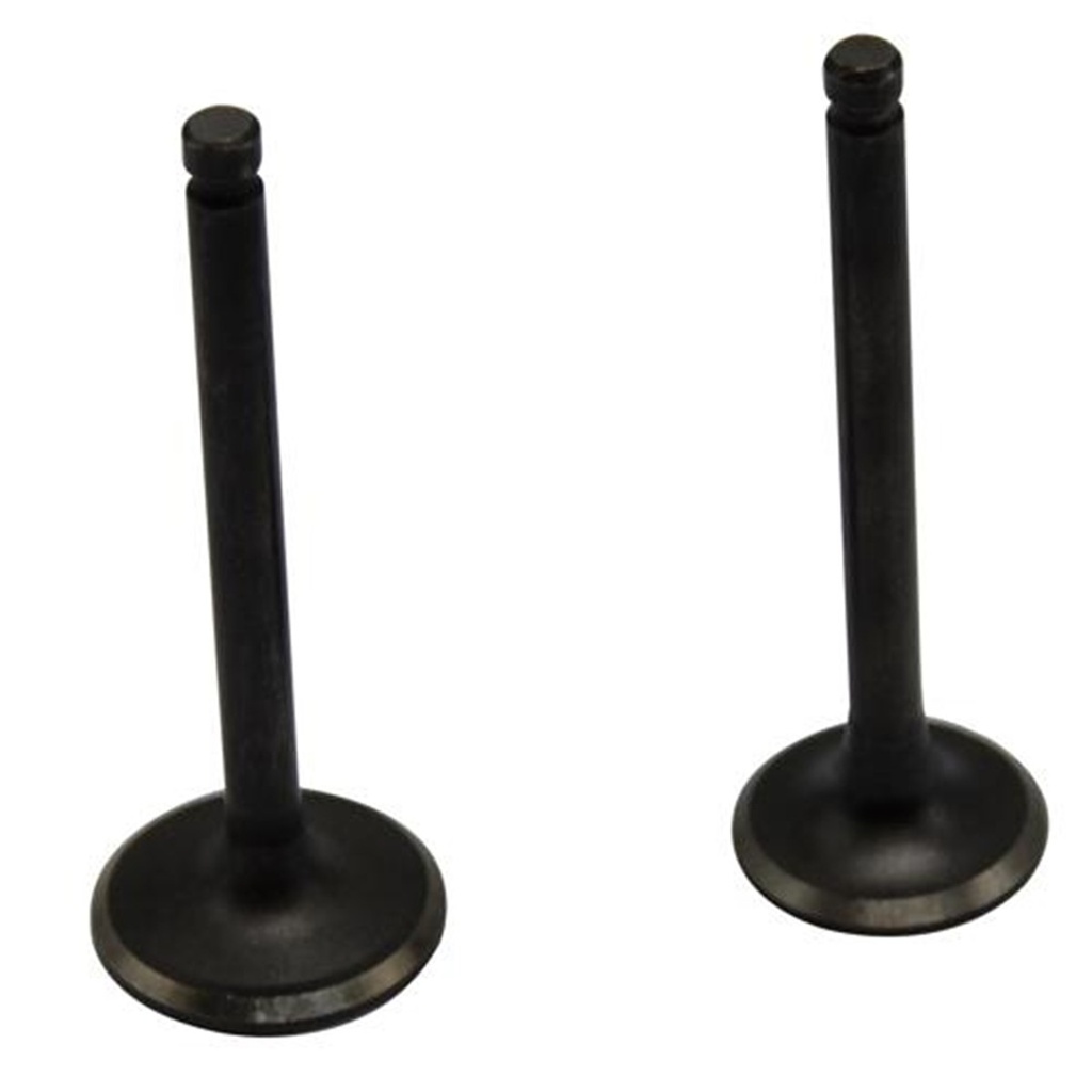 JUEGO VALVULAS ADMISION Y ESCAPE ITALIKA DSG125 /D125 PROMOTO /D125