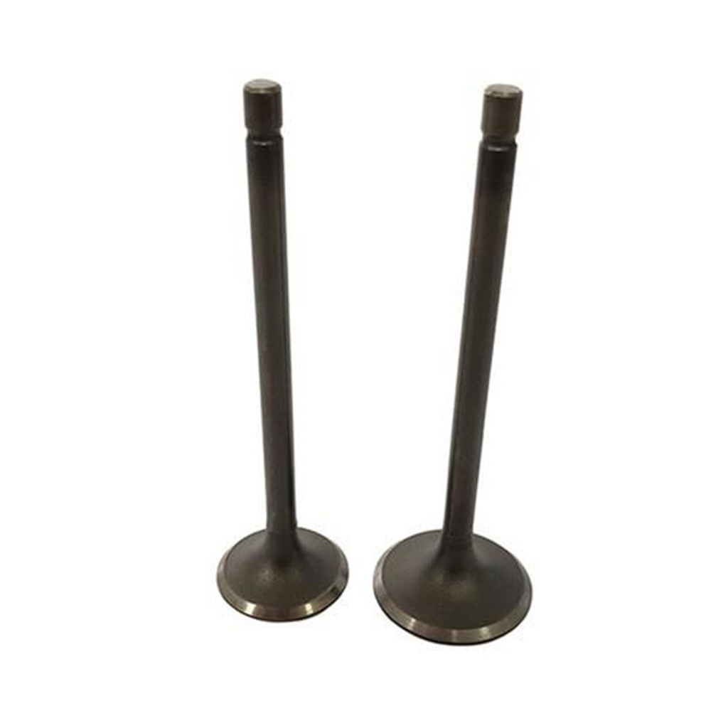 JUEGO VALVULAS ADMISION Y ESCAPE ITALIKA 170Z PROMOTO 