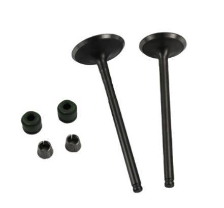 VALVULA ADMISION/ESCAPE SET HONDA GL 150 CARGO (14-19)/ XR 150L (16-19) (WSTD)