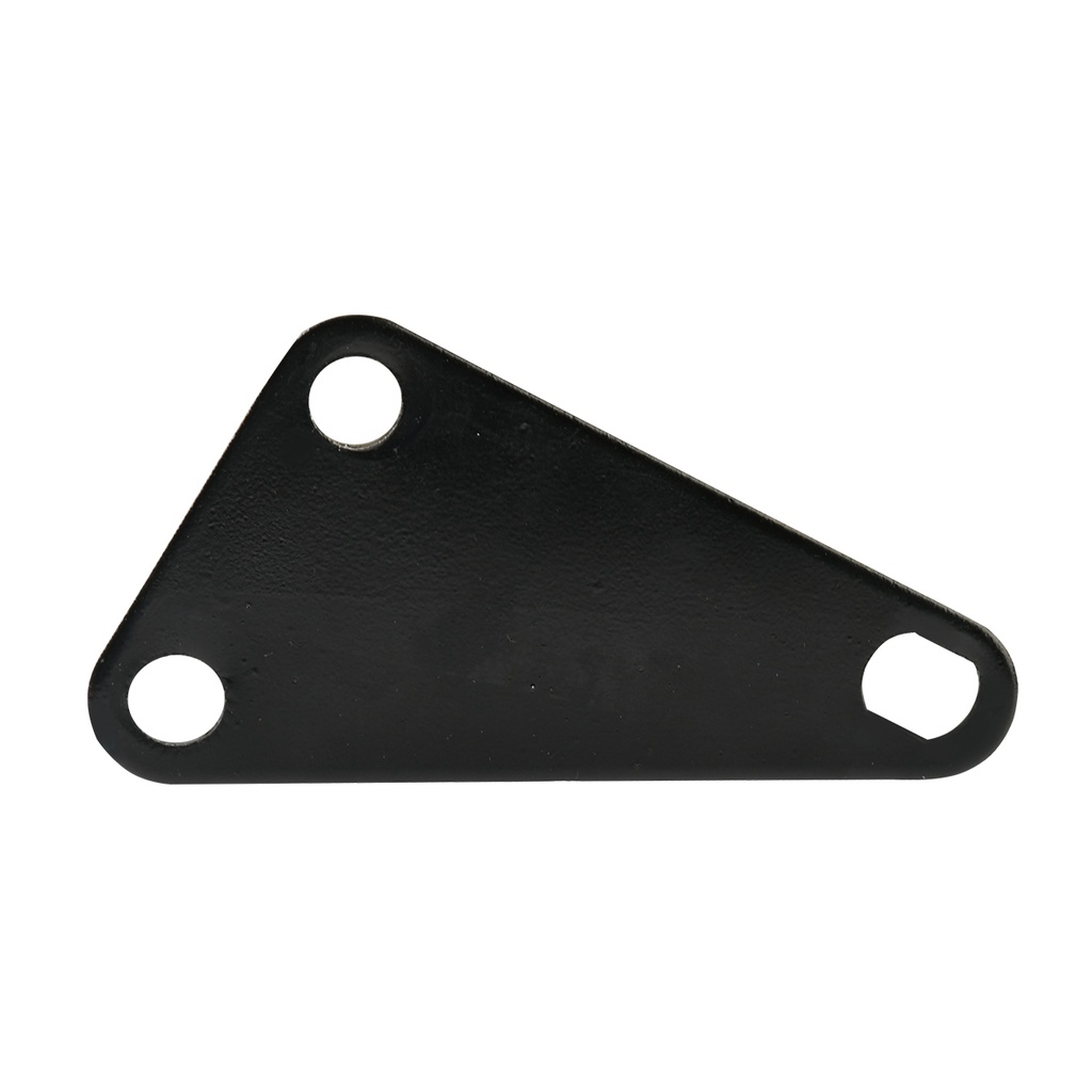 PLACA INF DEL DER MOTOR  DM300