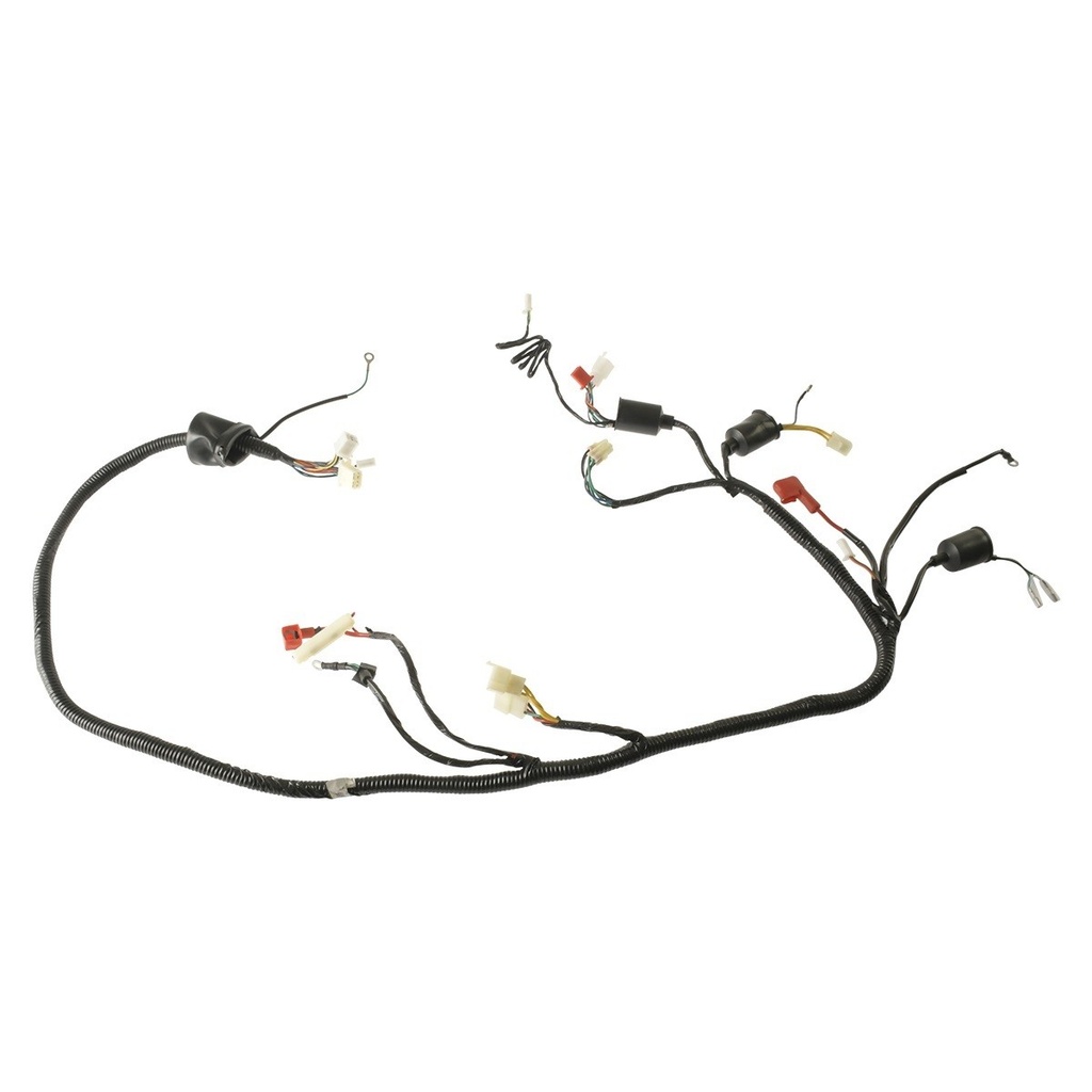 ARNES PRINCIPAL DS150G