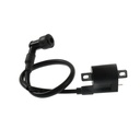 BOBINA IGNICION 125FL GPS 2026
