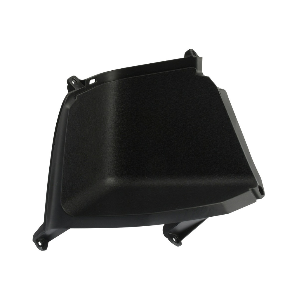 CUBIERTA EQUIPAJE IZQ, DS150, X150