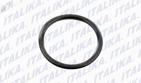 [E11030031] O-RING 34*28 DT125