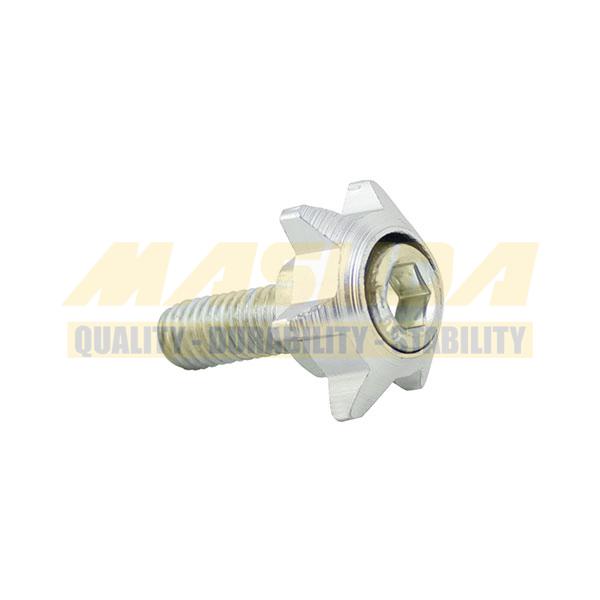 TORNILLO DECORATIVO ALUMINIO CON COLORES ESTRELLA M6 PLATA