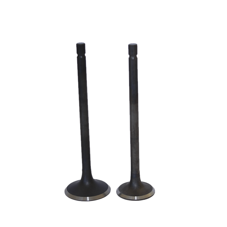 VALVULAS (JGO) P/YAMAHA YBR-125 "KAIZEN"