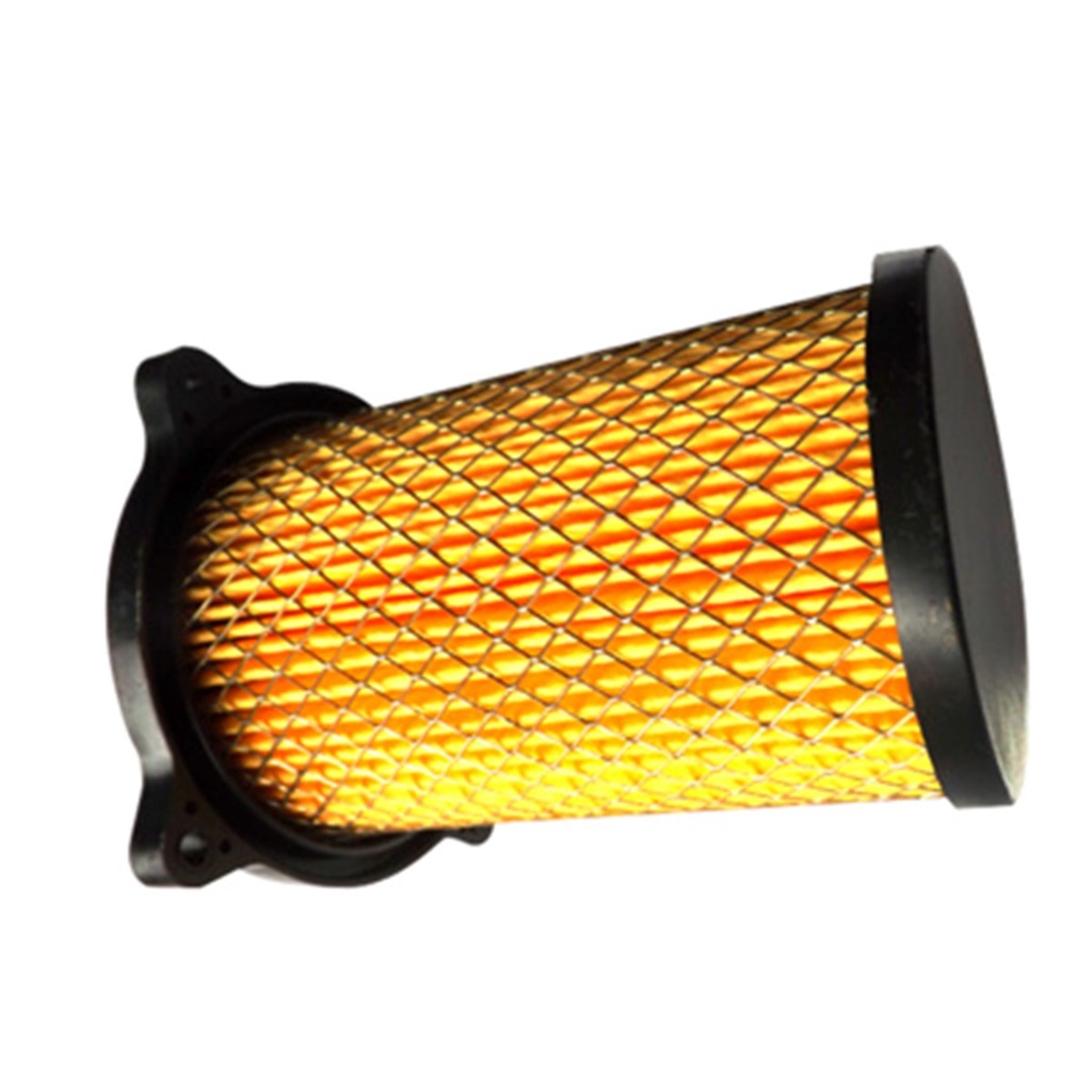 Filtro de aire elemento DM150