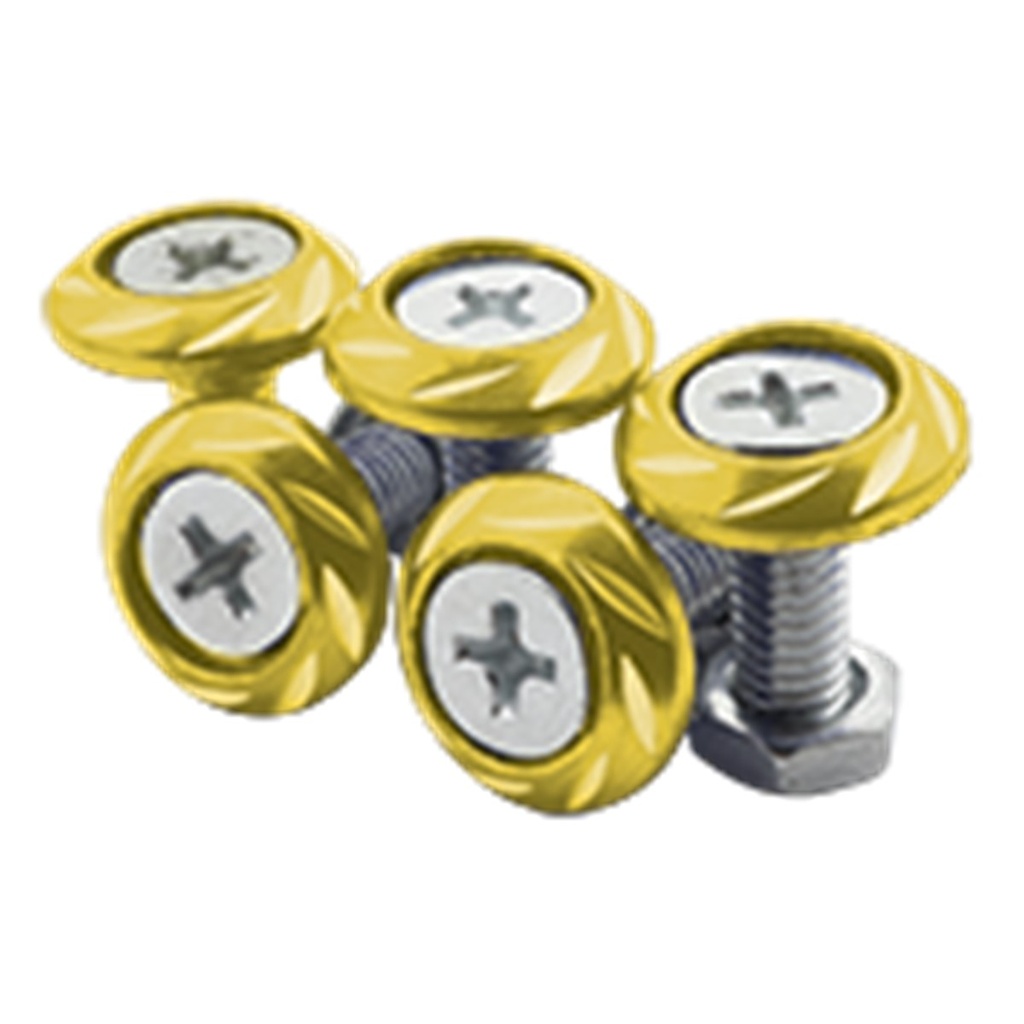[RS-GRL-12010GD] TORNILLO PLANO DECORATIVOS DORADO UNIVERSAL
