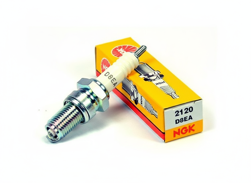 [6601-1029] BUJIA NGK D8EA