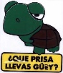 [GDE-064] CALCOMANIA GRANDE ¿QUE PRISA LLEVAS?