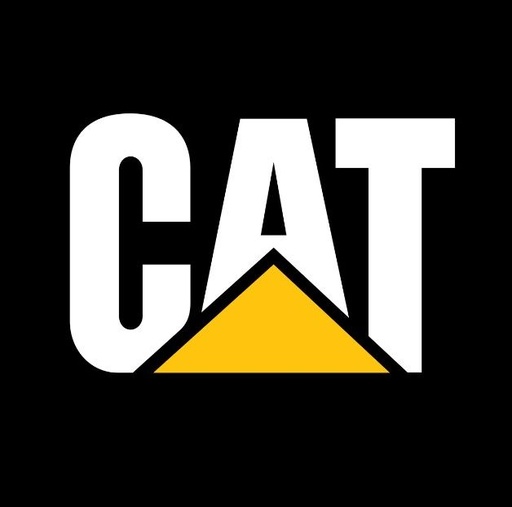 [MED-VIN-210] CALCOMANIA MEDIANA VINIL CAT