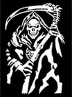 [MED-VIN-649] CALCOMANIA MEDIANA VINIL LA SANTA MUERTE