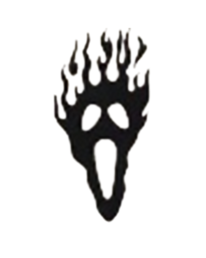 [MED-VIN-202] CALCOMANIA MEDIANA VINIL SCARY FLAMAS