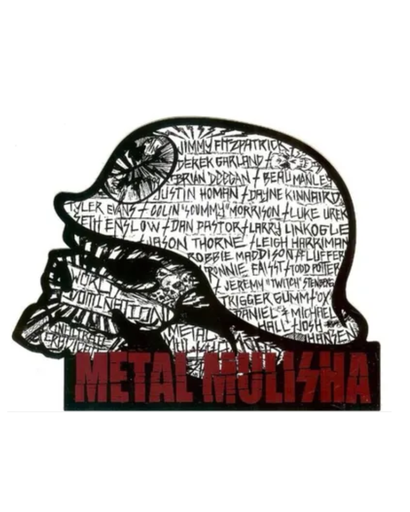 [REF-073] CALCOMANIA REFLEJANTE CALAVERA PERIODICO