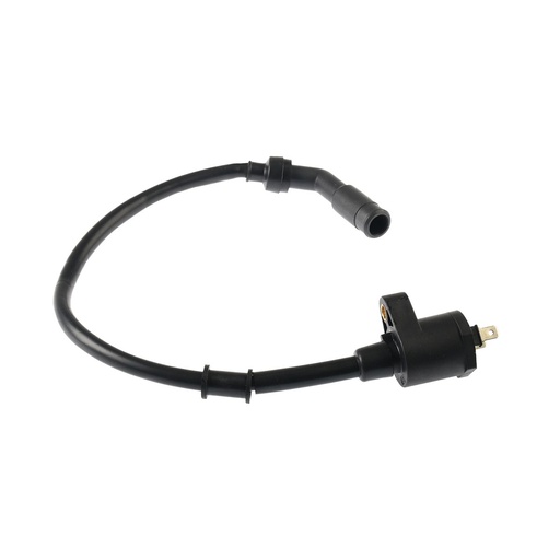 [F06060095] BOBINA IGNICION 