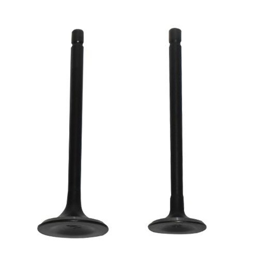 [2135-1011] JUEGO VALVULAS ADMISION Y ESCAPE ITALIKA FT150 DELIVERY 150SZ/FT180/150Z/DT150 CLASICA/DT150 DELIVERY/FT150S/FT150TS 150SZ/FT180/150Z/DT150 CLASICA/DT150 DELIVERY/FT150S/FT150TS 