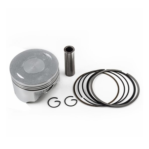 [MOTPI307] PISTON P/I 250Z 0.50