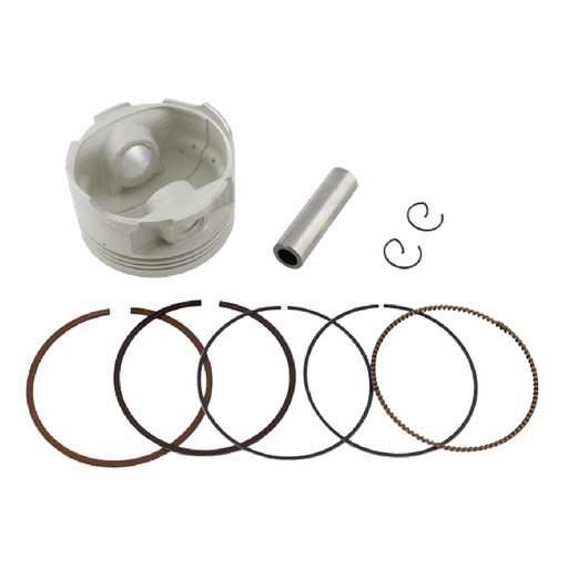 [MOTPI303] PISTON P/I FT-150 M.N. 0.25 KIMTEC