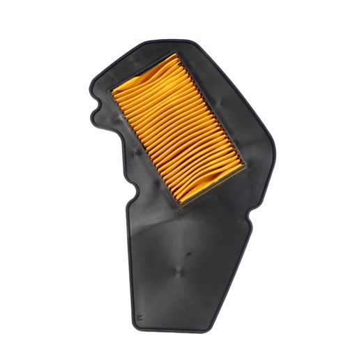 [VC01010005] ELEMENTO DEL FILTRO DE AIRE Terra 150 RZ 2020,Terra 150 RZ 2022
