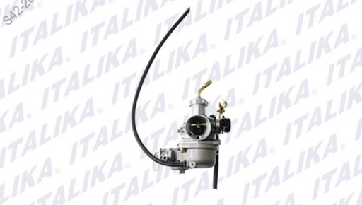 [E01010155] CARBURADOR AT110LT